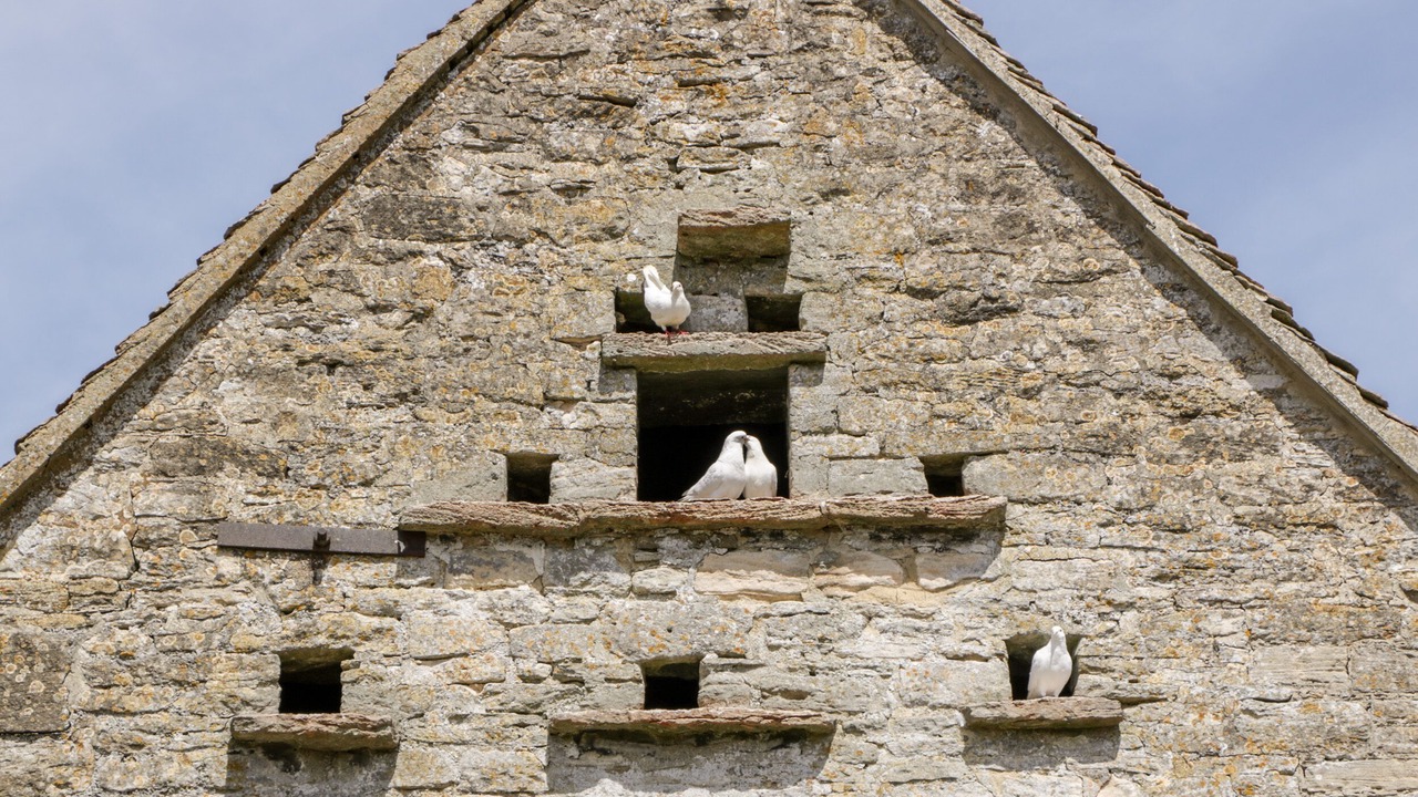 Photo of Outdoor in Nympsfield