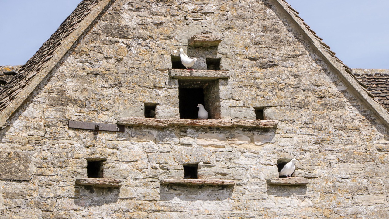 Photo of Outdoor in Nympsfield