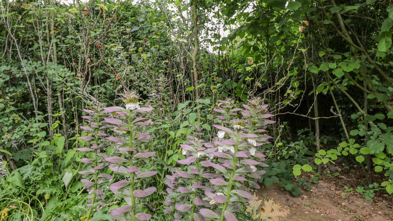 Photo of Outdoor in Whitchurch