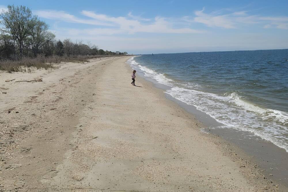 Photo of Others in Valley Lee