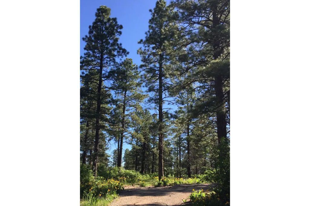 Photo of Outdoor in Lewis