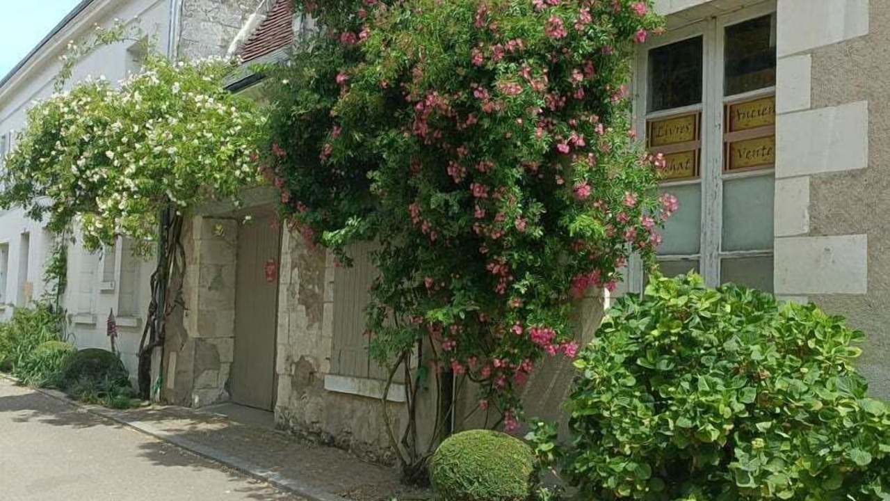 Photo of Outdoor in Chedigny