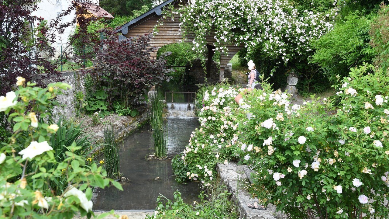 Photo of Outdoor in Chedigny