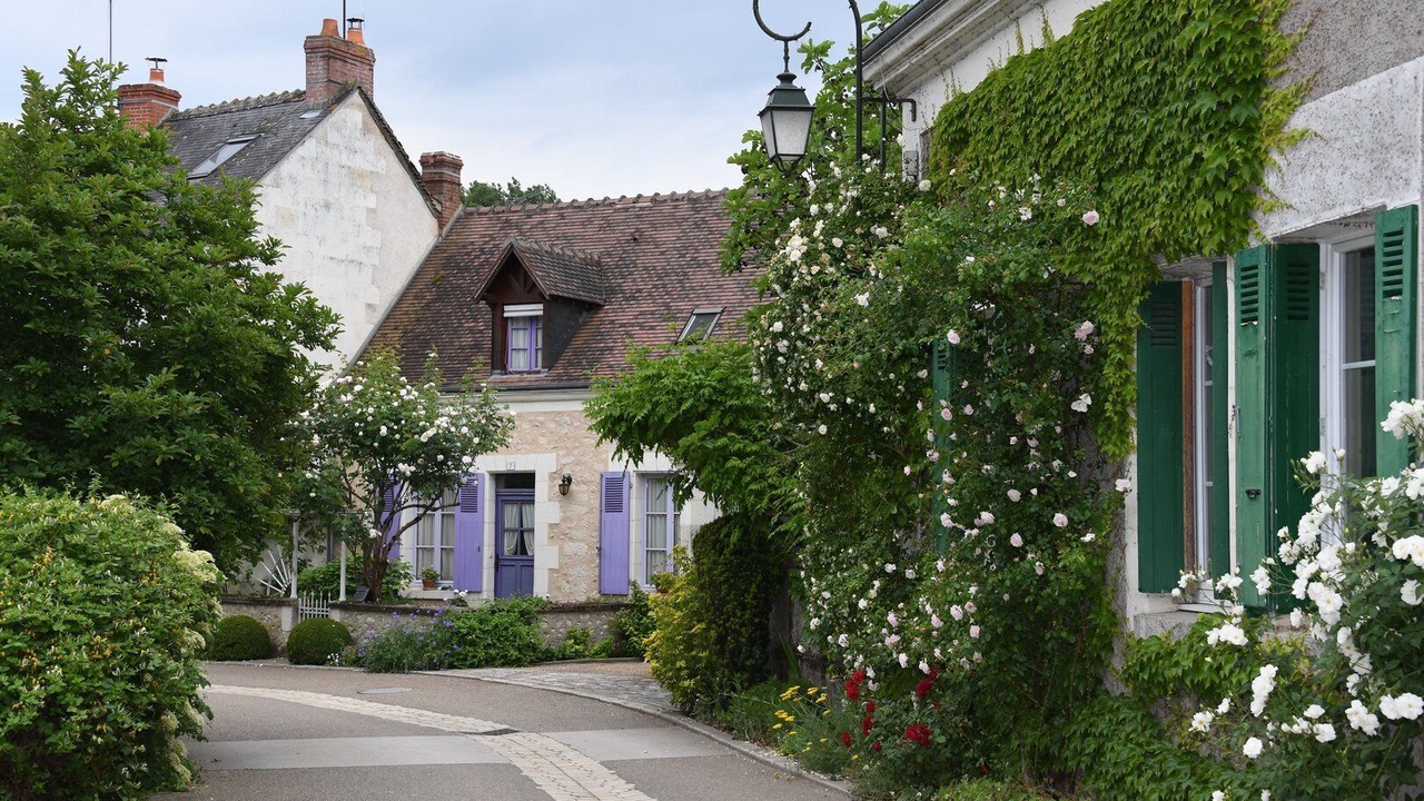 Photo of Outdoor in Chedigny