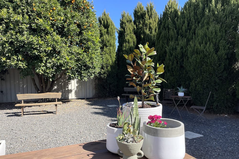 Photo of Others in Scone