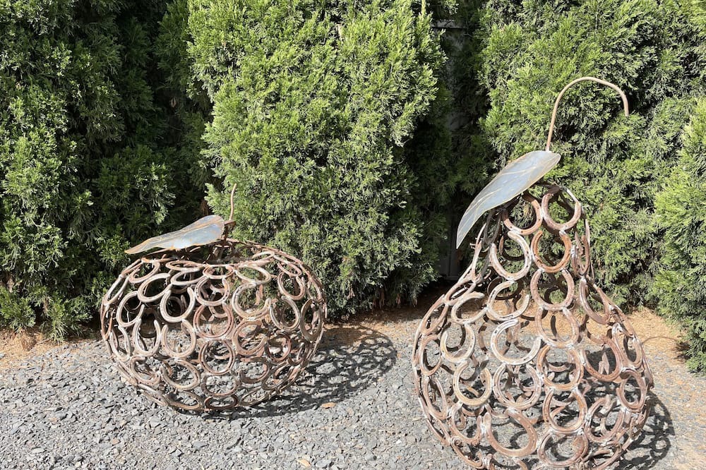 Photo of Outdoor in Scone