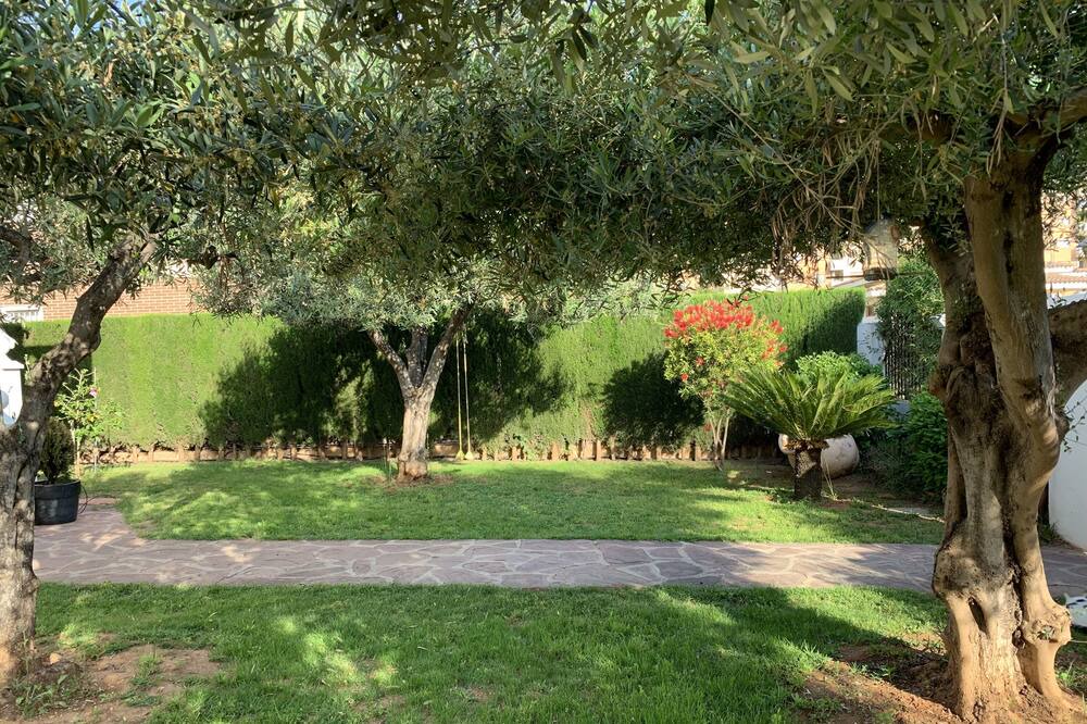Photo of Outdoor in Castello de la Plana