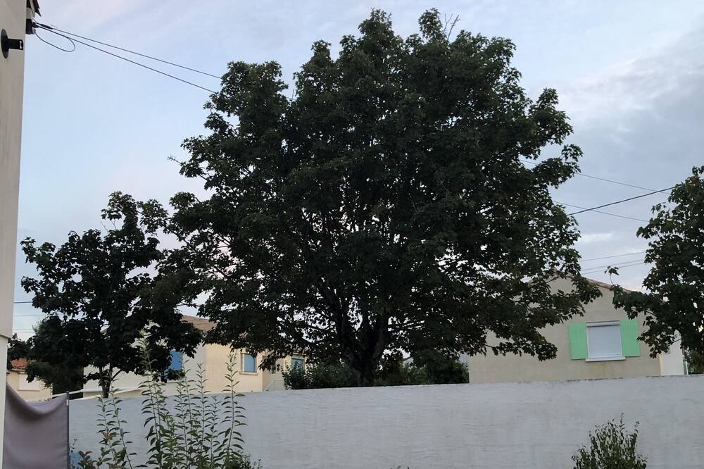 Photo of Outdoor in Saujon