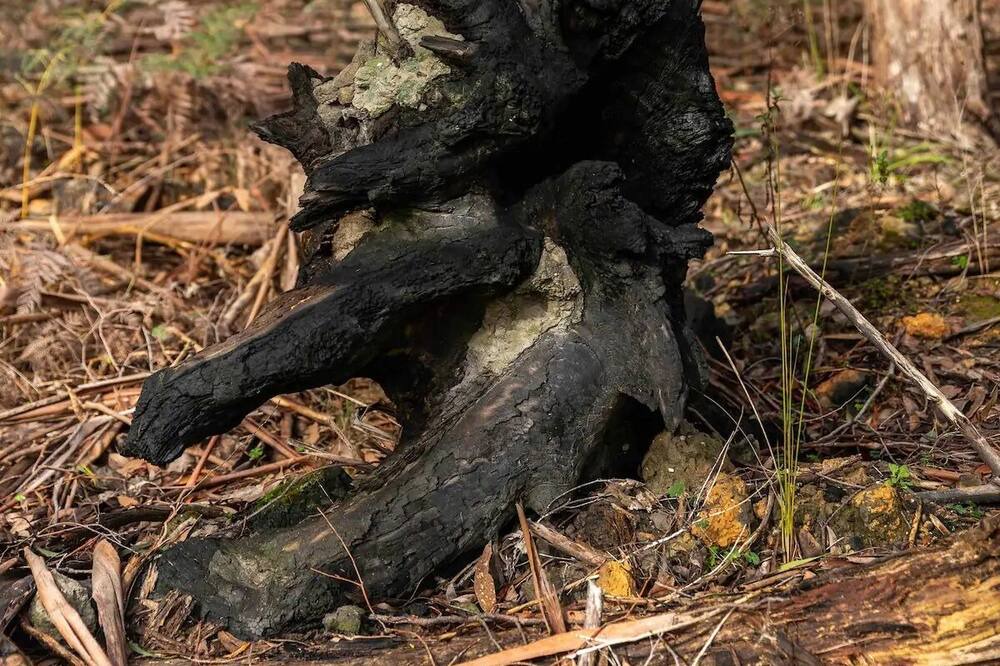 Photo of Outdoor in Dean