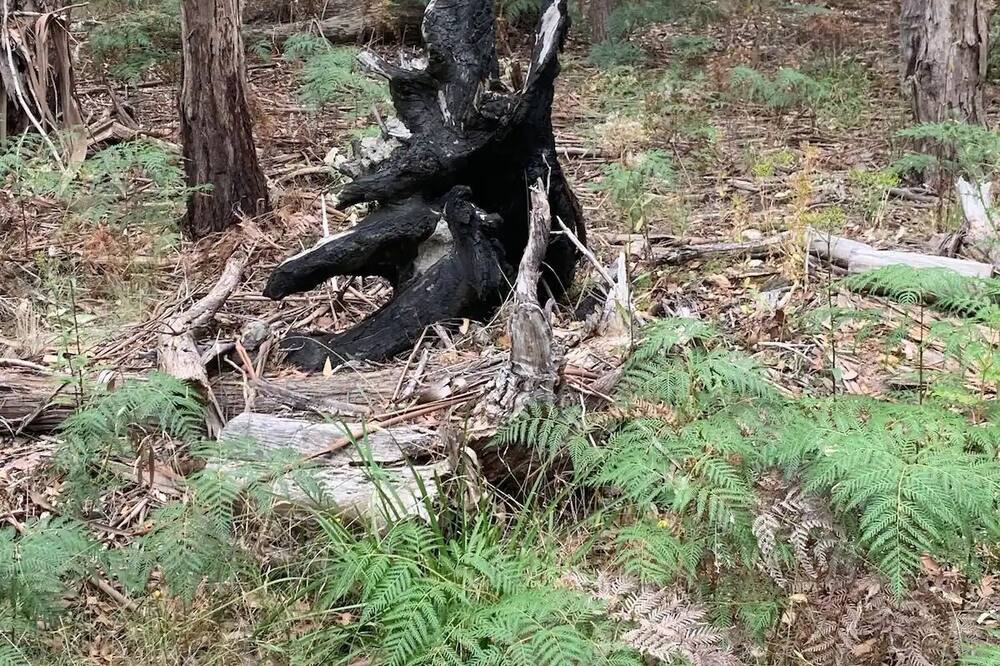 Photo of Outdoor in Dean