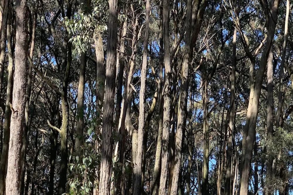 Photo of Outdoor in Dean