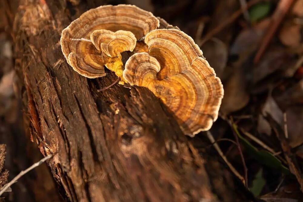 Photo of Outdoor in Dean