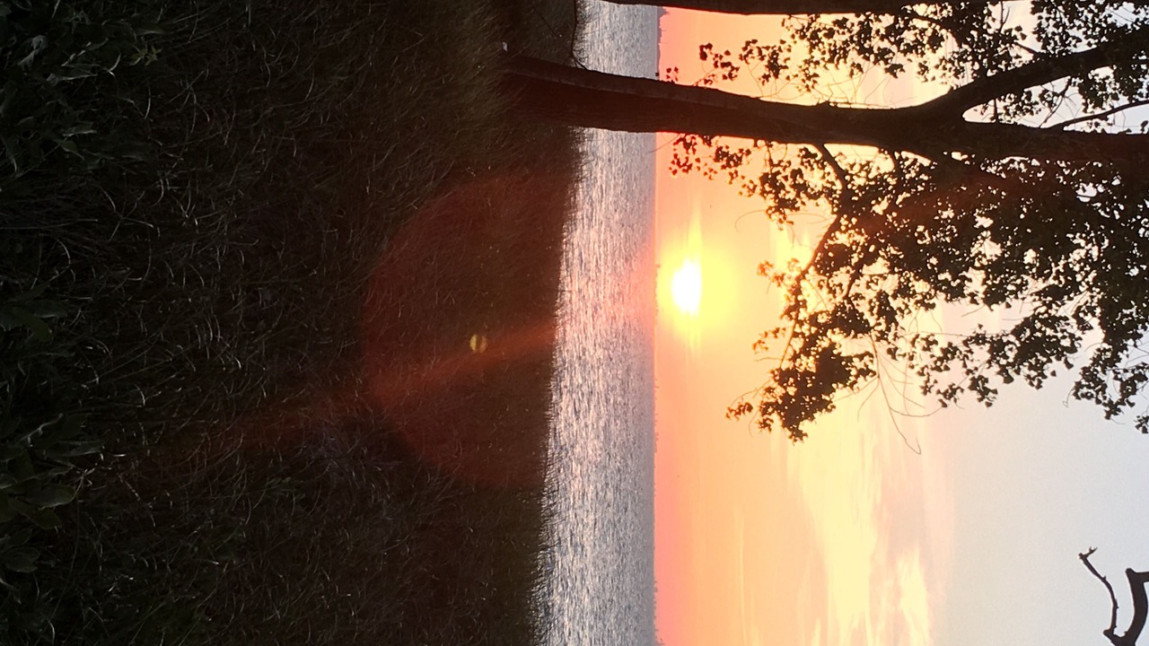 Photo of Others in Miller Beach