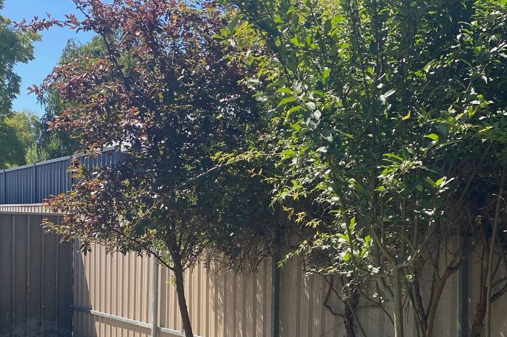 Photo of Outdoor in Balhannah