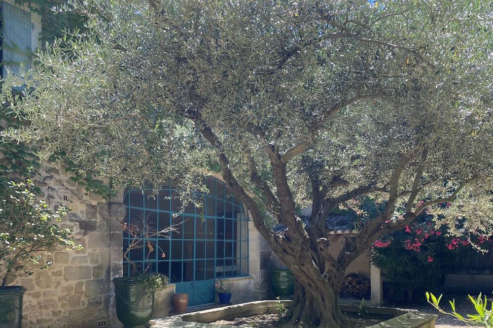 Photo of Outdoor in Aimargues