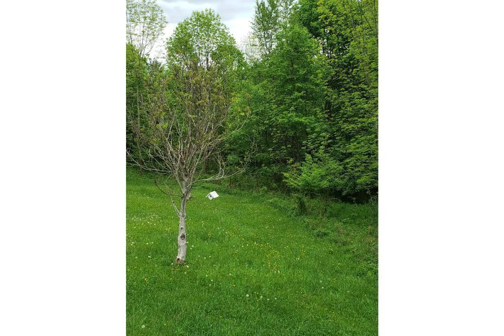 Photo of Outdoor in New Kingston