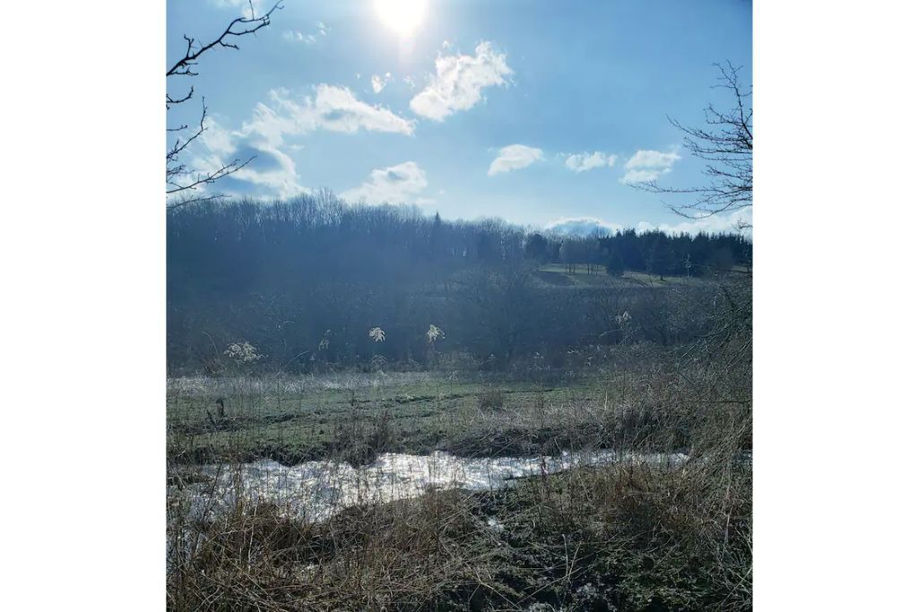 Photo of Others in New Kingston