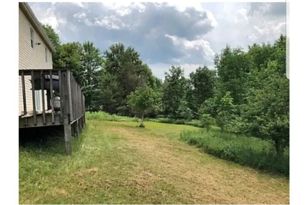 Photo of Outdoor in New Kingston