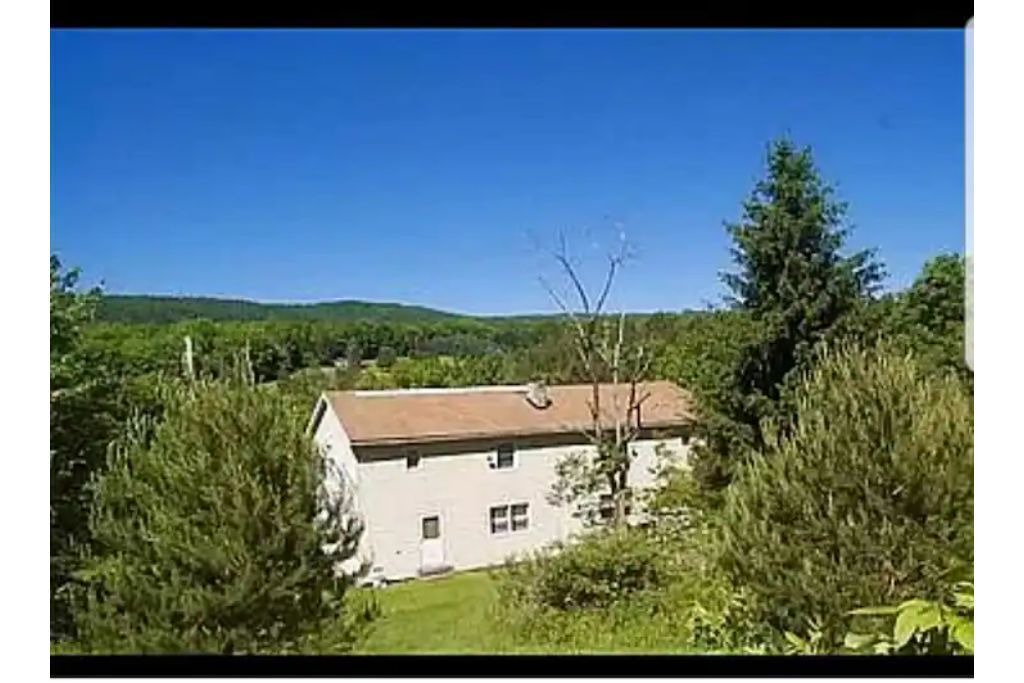 Photo of Others in New Kingston