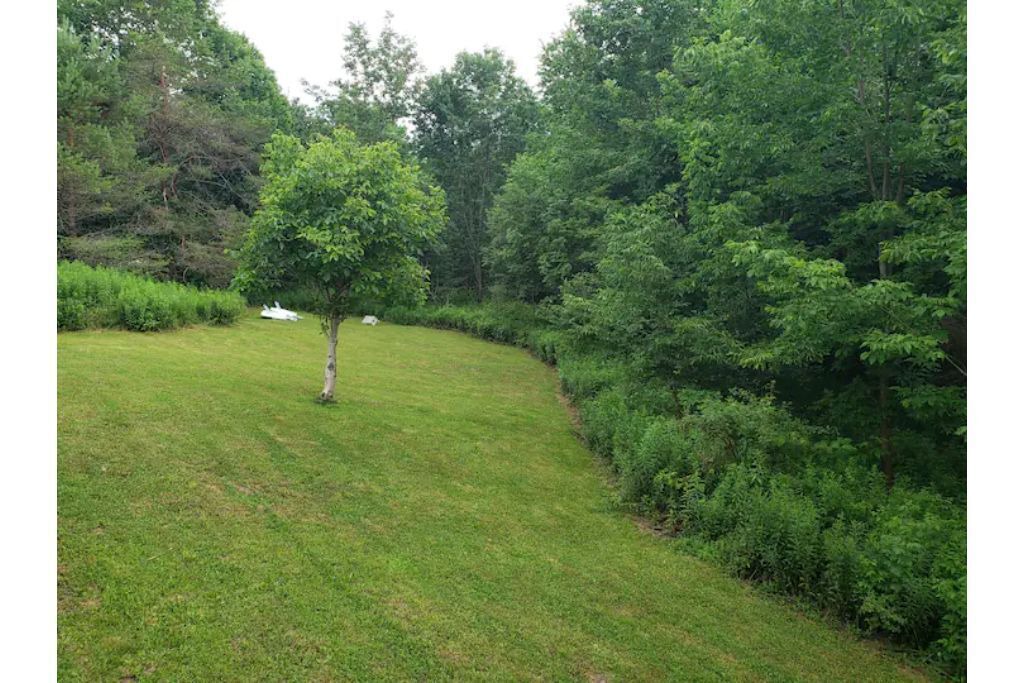 Photo of Others in New Kingston