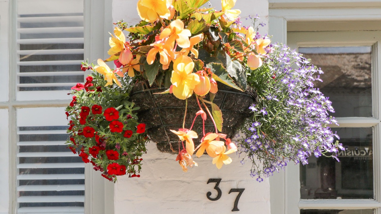 Photo of Others in Upton upon Severn