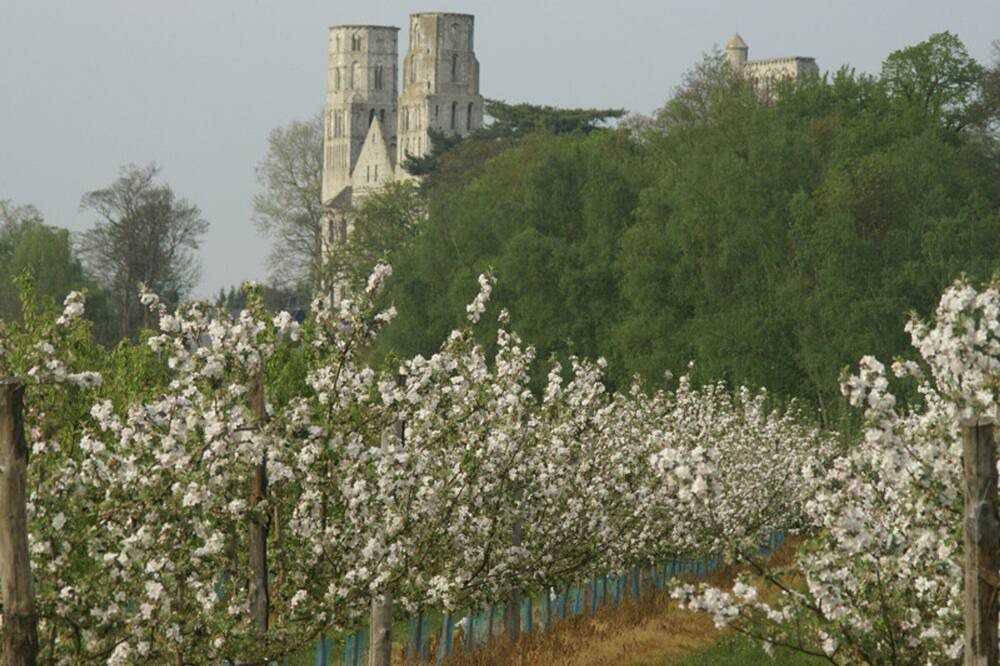 Photo of Outdoor in Le Mesnil-sous-Jumieges