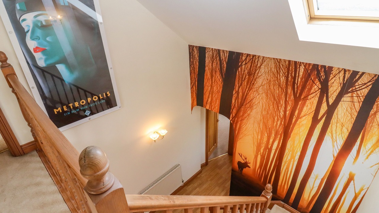 Photo of Others in Cinderford