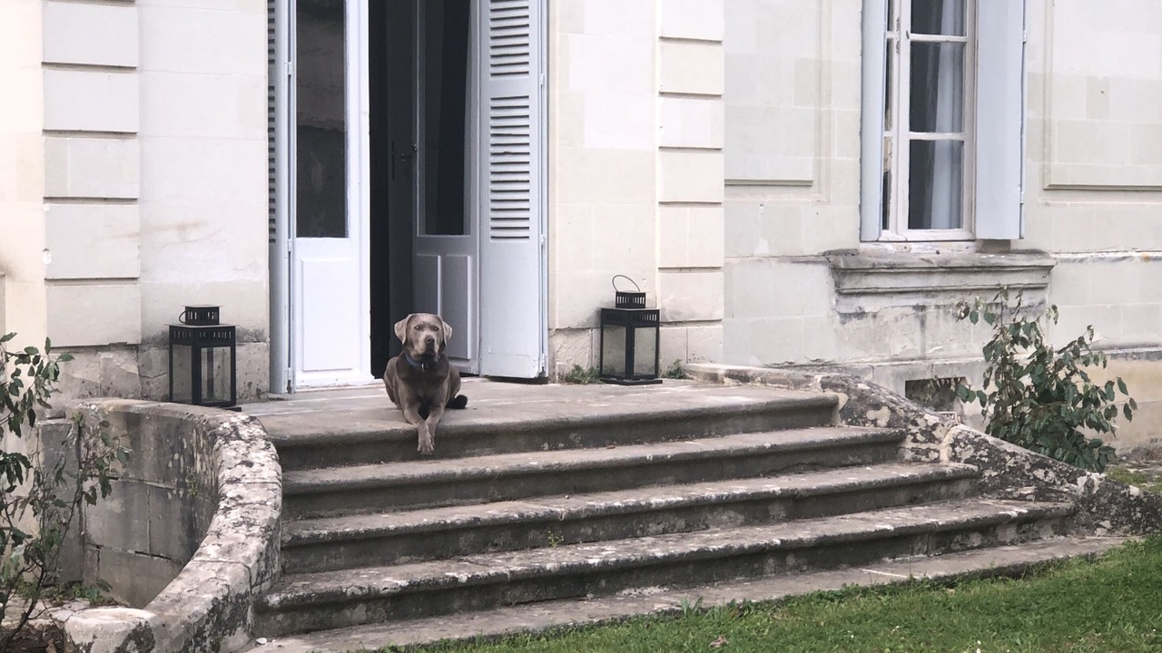Photo of Others in Saint-Cyr-sur-Loire