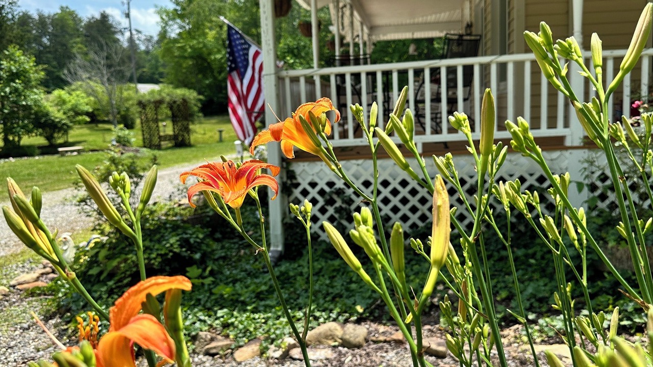 Photo of Outdoor in Blairsville