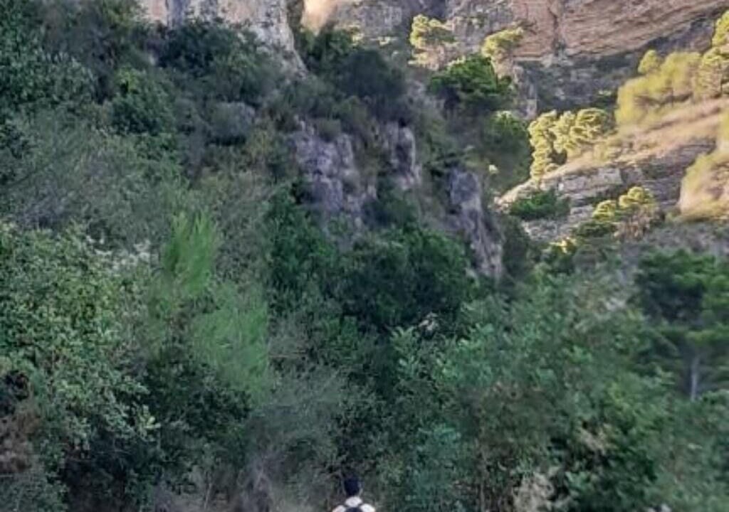 Photo of Outdoor in Gandia