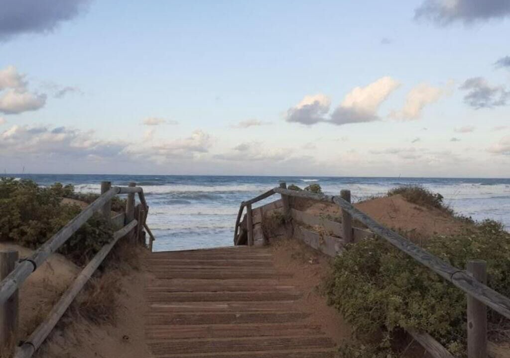 Photo of Others in Gandia