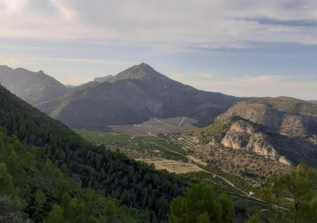 Photo of Outdoor in Gandia
