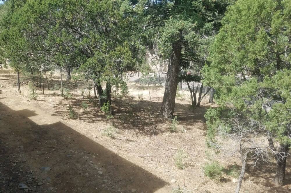 Photo of Outdoor in Alto