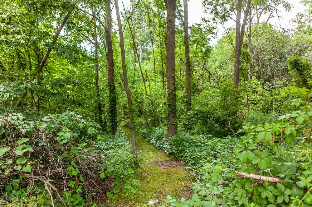 Photo of Outdoor in Hamilton