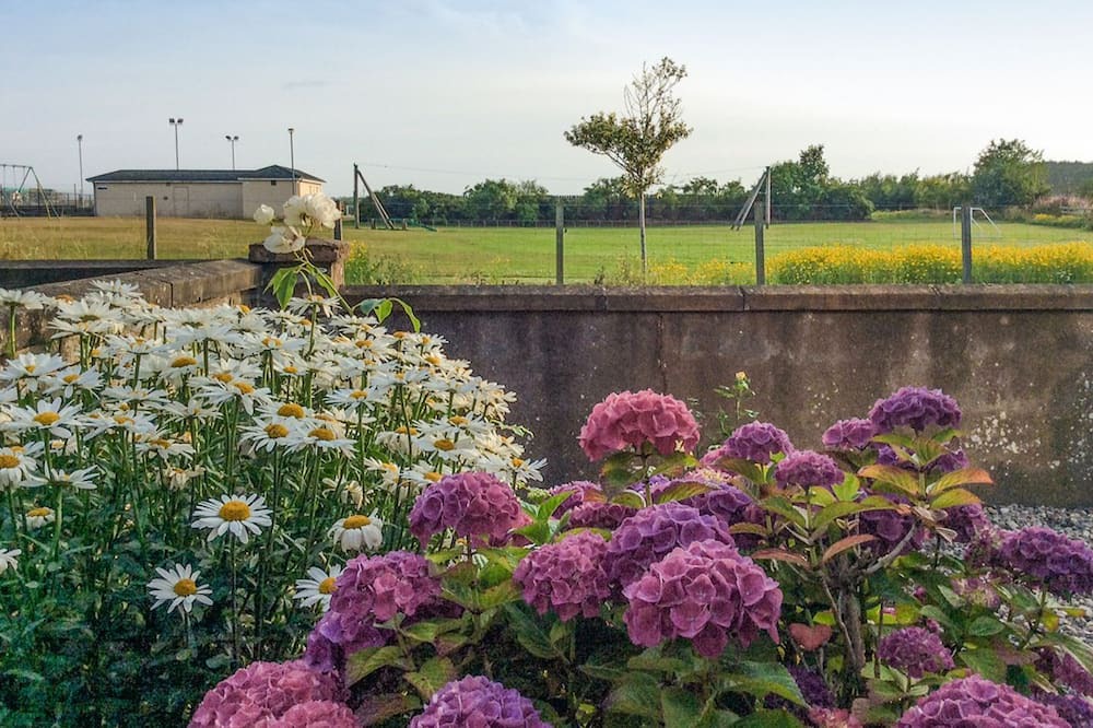 Photo of Outdoor in Saint Cyrus