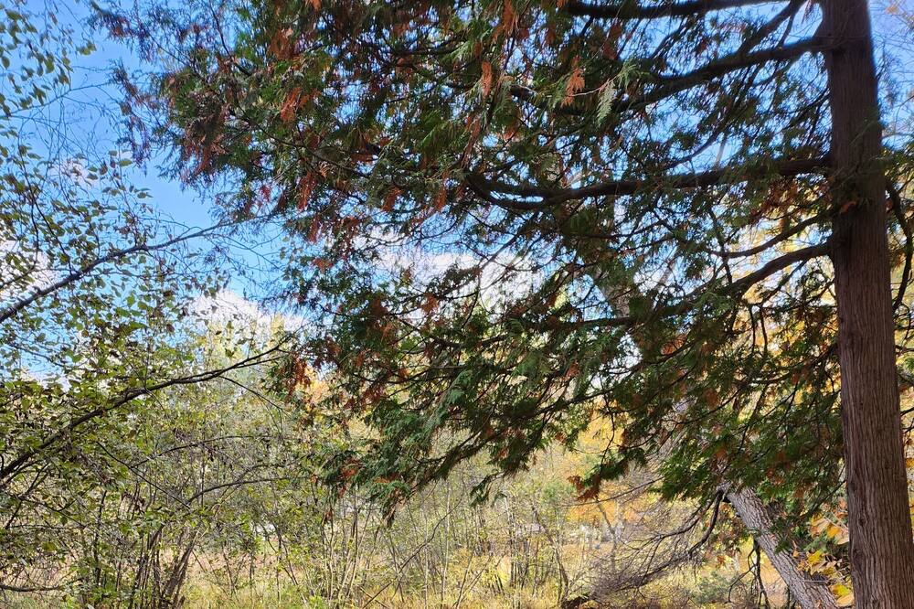Photo of Outdoor in Gladwin