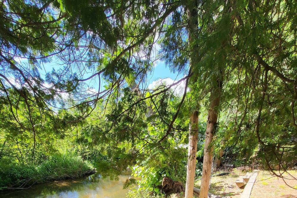 Photo of Outdoor in Gladwin