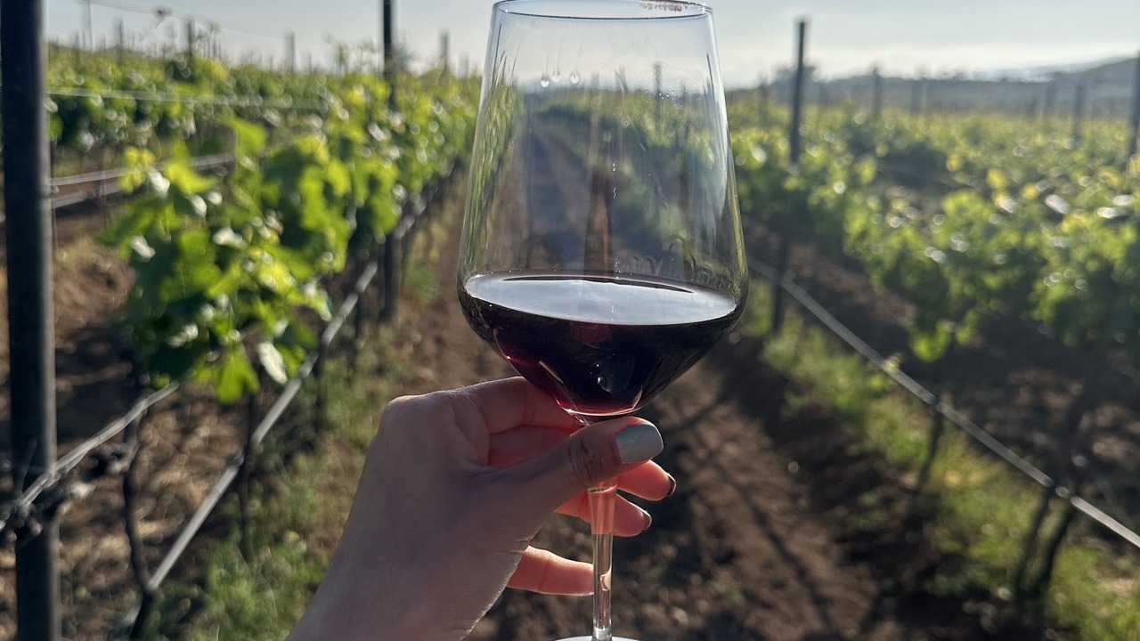 Photo of Others in Valle de Guadalupe