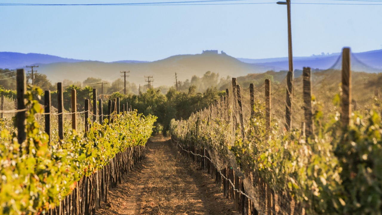 Photo of Outdoor in Valle de Guadalupe