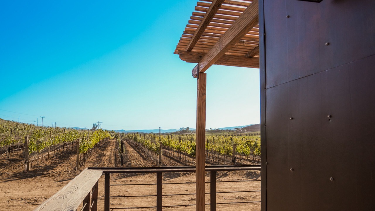Photo of Outdoor in Valle de Guadalupe