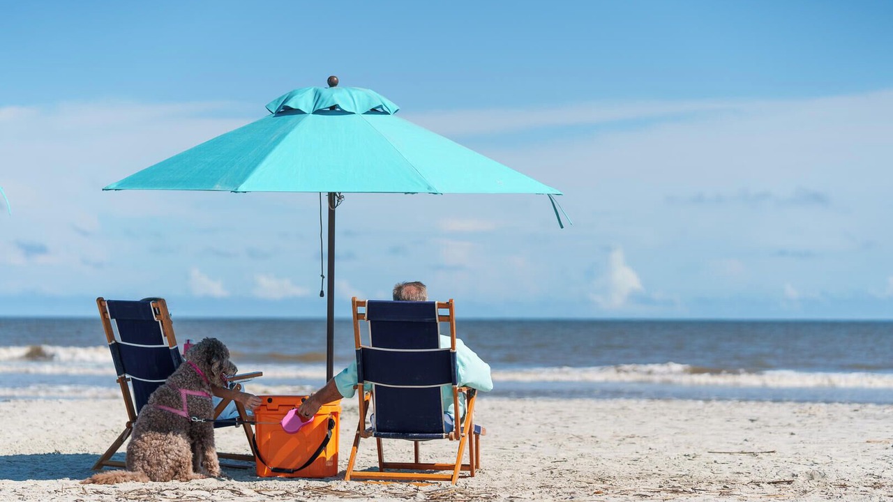 Photo of Others in Saint Helena Island