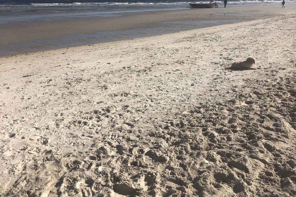 Photo of Others in Bonbeach