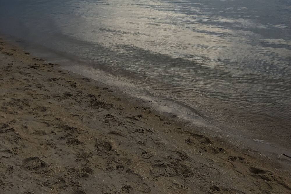 Photo of Others in Bonbeach