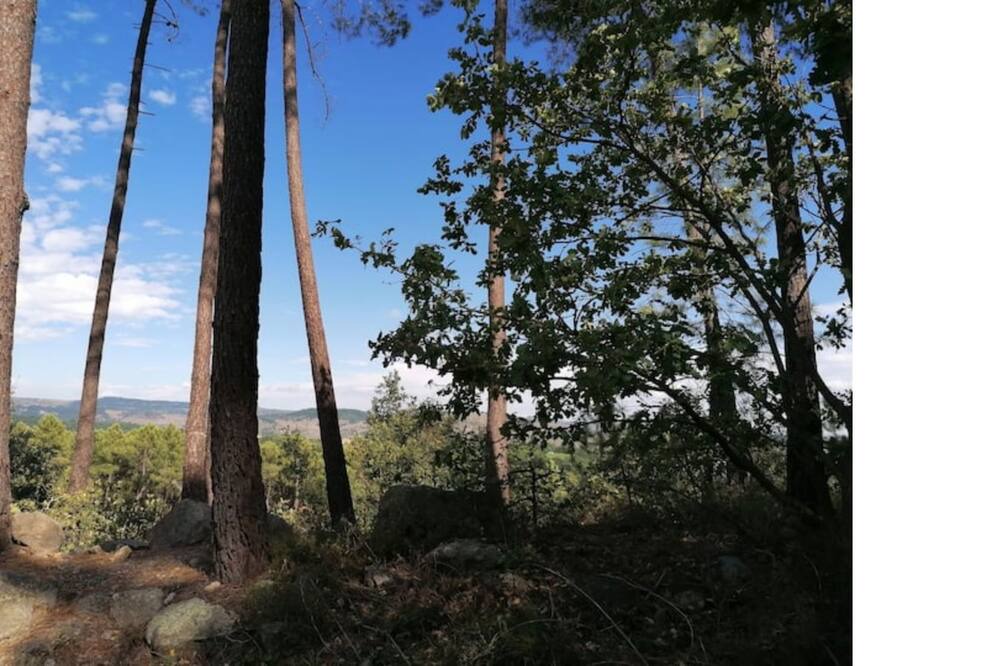 Photo of Outdoor in Saint-Julien-du-Serre