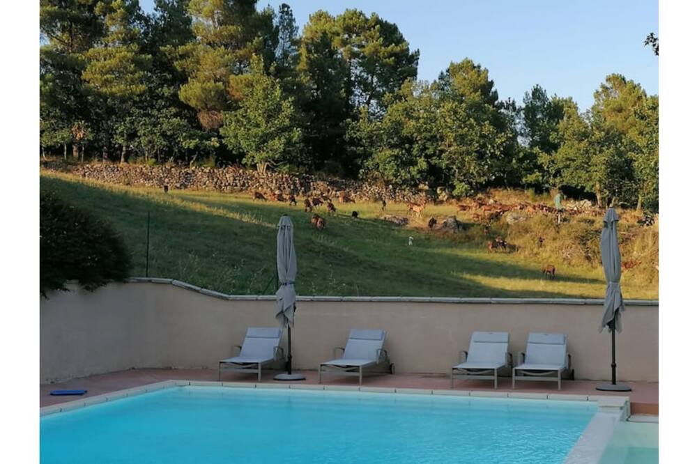 Photo of Outdoor in Saint-Julien-du-Serre