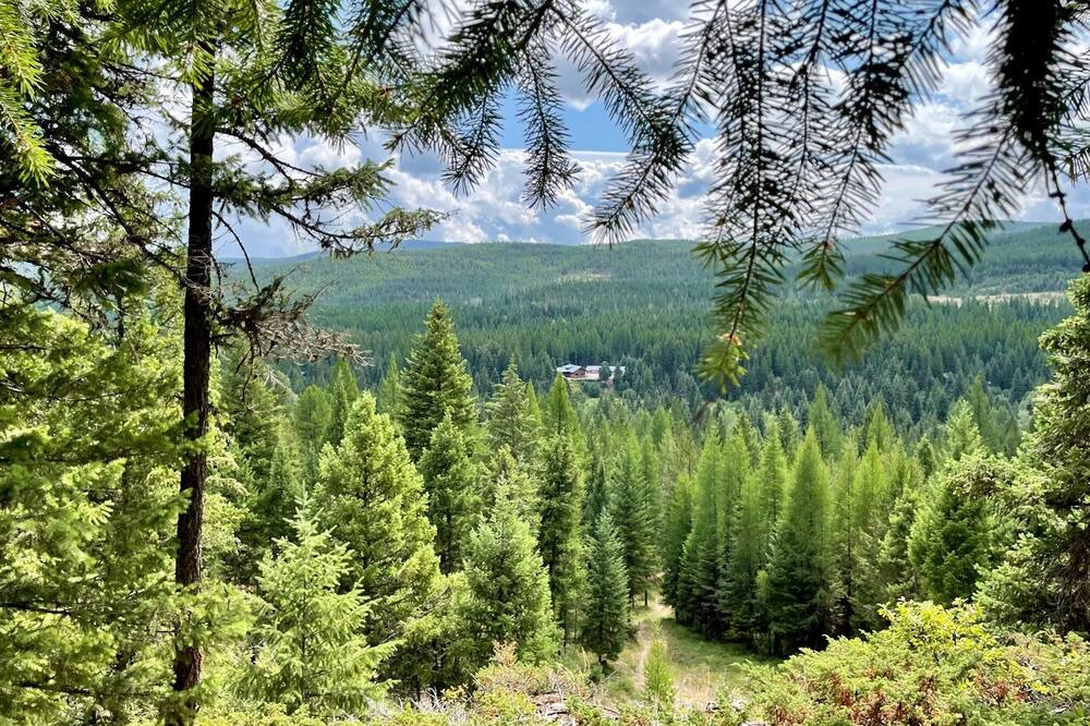 Photo of Outdoor in Trego