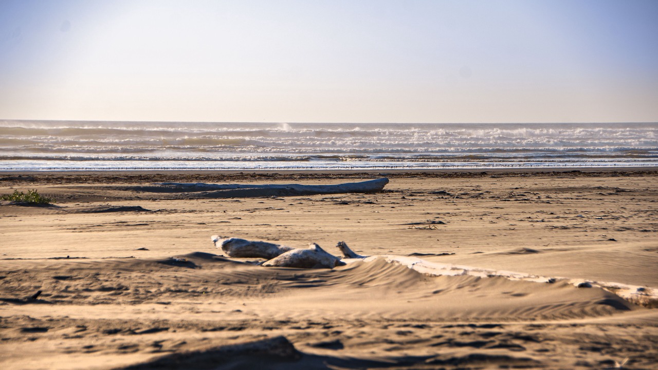 Photo of Others in Ocean City