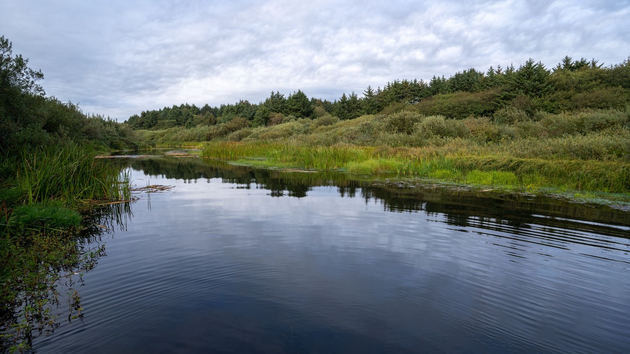 Photo of Outdoor in Ocean City