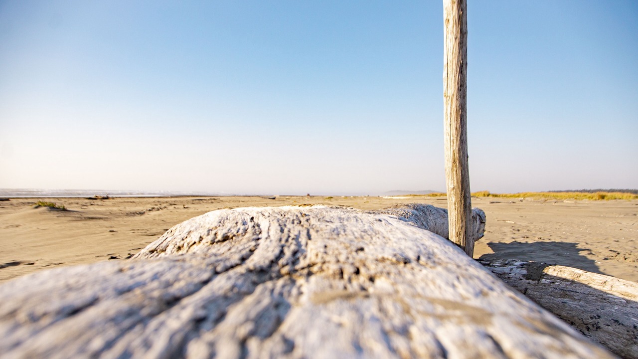 Photo of Others in Ocean City