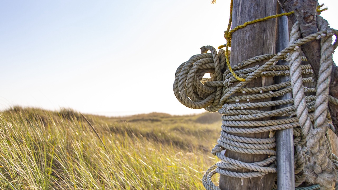 Photo of Others in Ocean City